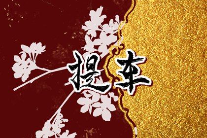 2025年05月25日(农历四月廿八)提车算不算好日子？ 今天提新车是好日子吗？