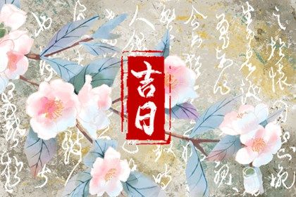2024年11月23日提车好吗 买新车吉利吗