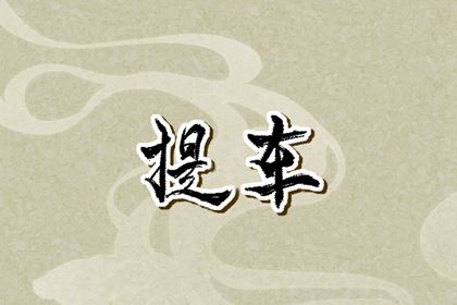 2024年12月19日提车好不好 买新车吉利吗