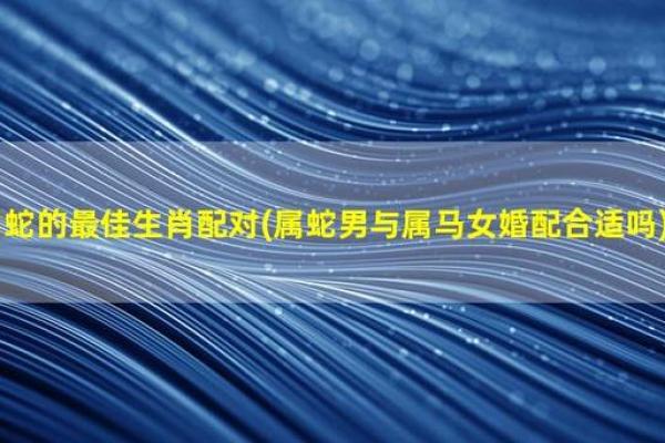 属马和属蛇配对的优势与挑战