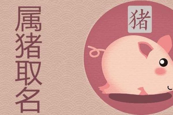 属猪宝宝名字大全，温文尔雅与吉祥气质兼具