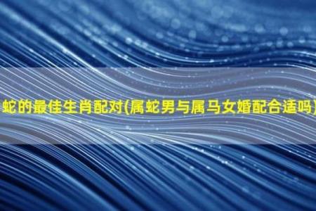 属马和属蛇配对的优势与挑战