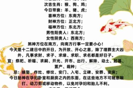 生肖相冲对感情运势的深远影响