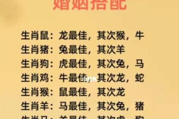 生肖相冲的生肖配对禁忌