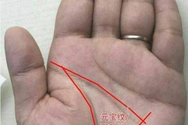手相有口的秘密：揭示命运中隐藏的言语线索