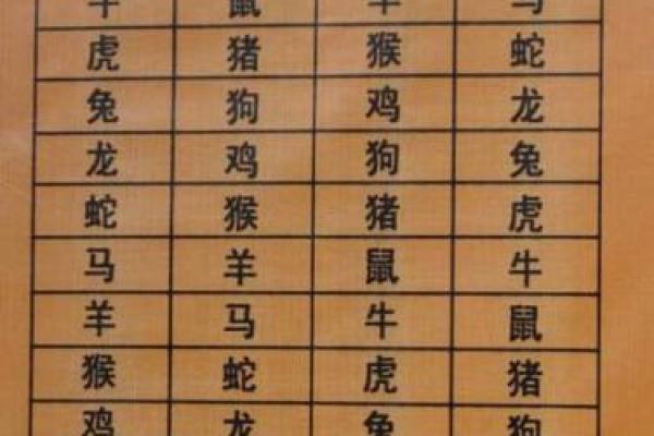 属龙男与属兔女的性格契合度：彼此的优缺点如何平衡
