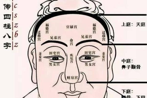 如何根据女士痣相判断个人财富与事业走向