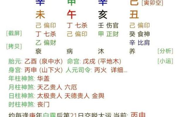 元亨利贞八字排盘软件的优势与应用