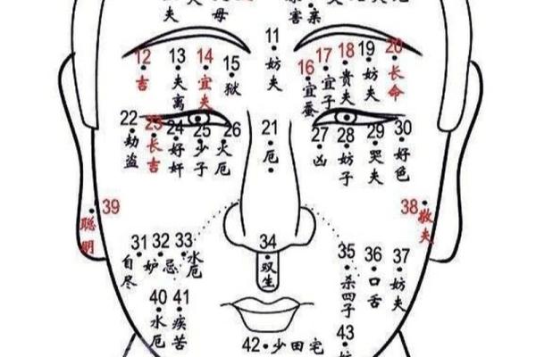 如何通过观察痣相来了解自己的人生方向