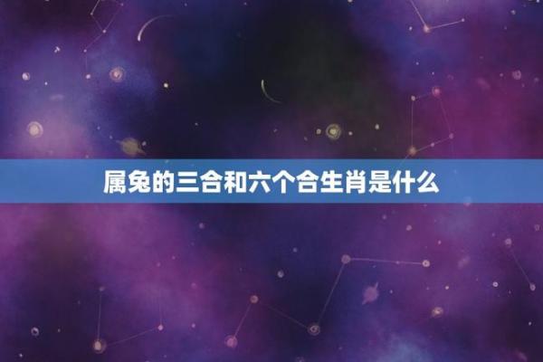 生肖配对：属狗男与属兔女是否合适