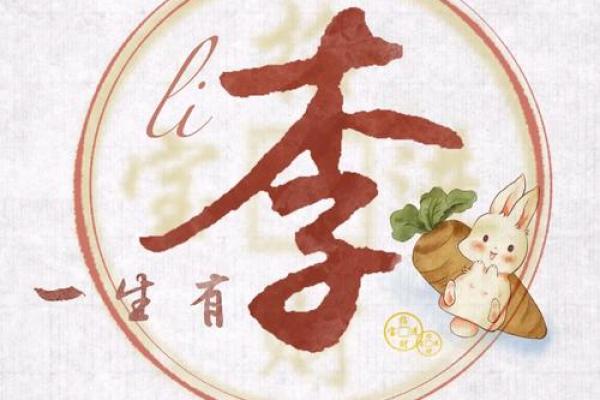 为姓李男宝宝起名字的创意灵感与风格分析