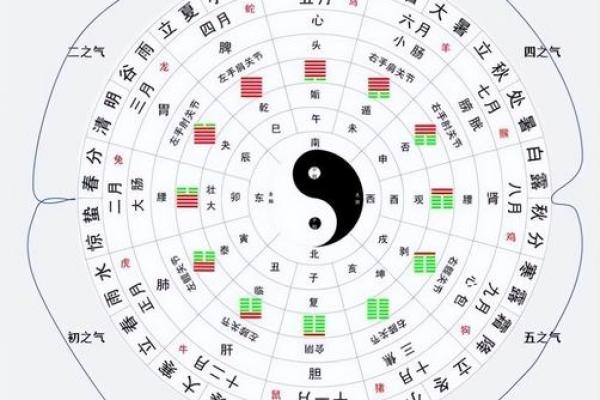 深度解析武则天生辰八字中的阴阳五行影响