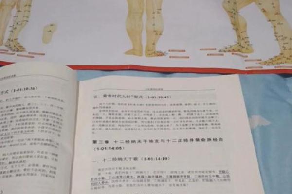 探索十天干与八卦的哲学与应用