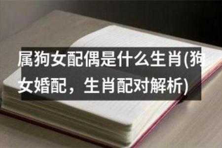 生肖配对：属狗男与属兔女是否合适