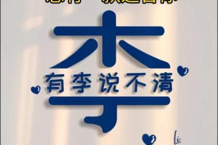 为姓李男宝宝起名字的创意灵感与风格分析