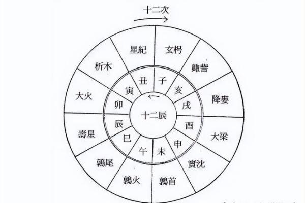 天干地支搭配的奥秘与实际应用解析