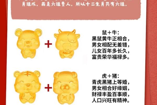 生肖相冲的命理玄机与破解之道