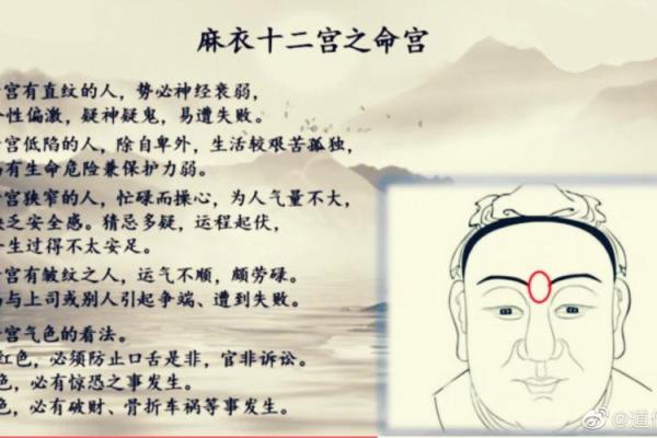 麻衣神相揭秘：私处长痣的命运暗示与图解