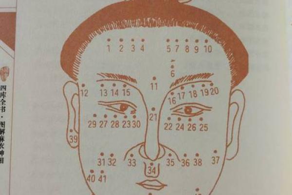 麻衣神相揭秘：私处长痣的命运暗示与图解