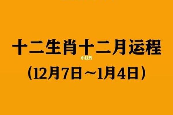 今晚预测的生肖运势有哪些变化