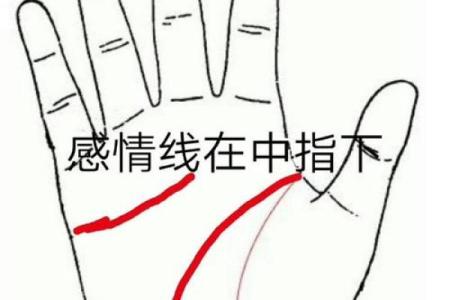 揭秘异性缘手相：从掌纹看你的爱情运势