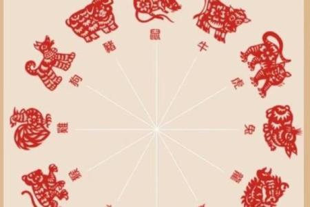 生肖相冲与事业发展的秘密