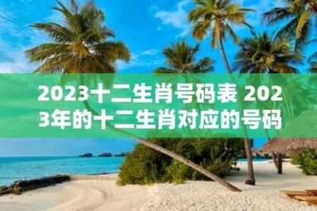 今晚预测的生肖运势有哪些变化