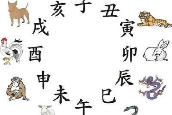 属牛与属虎的恋爱是否和谐？深入探讨两者性格与命理