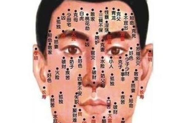 痣相与性格、运势：从容解读命运的痣