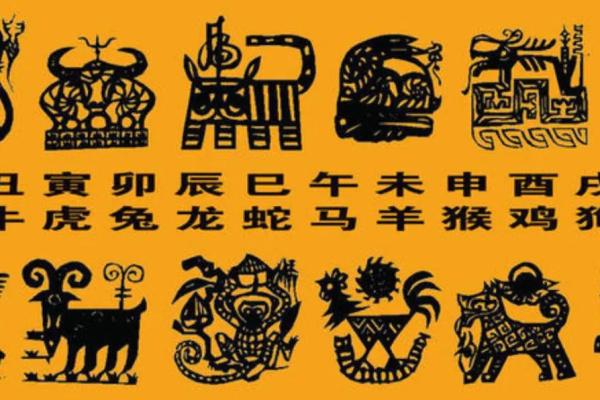 出生的人生肖解析与运势分析