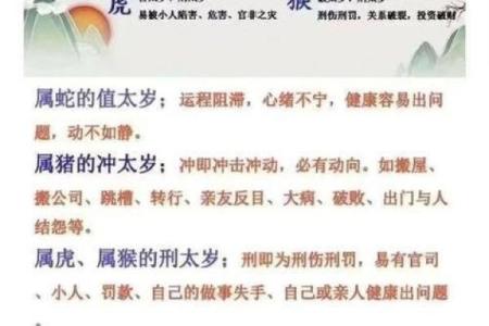 生肖相冲对家族运势的深刻影响