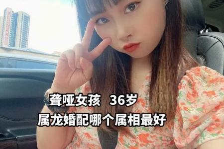 属龙与属牛的婚配解析：性格与命运的相互作用