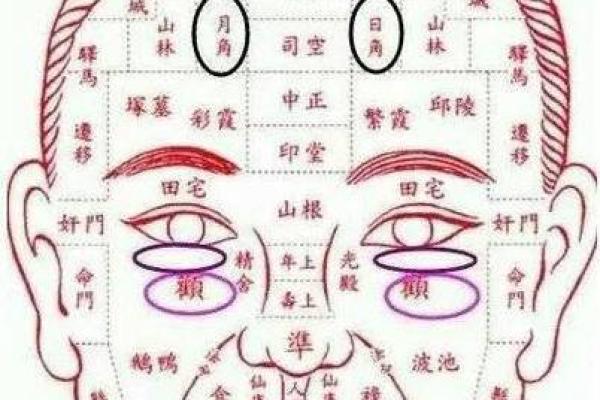 麻衣相耳痣与个人运势的深层联系