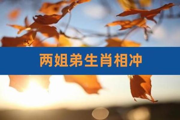 生肖相冲如何影响亲子关系