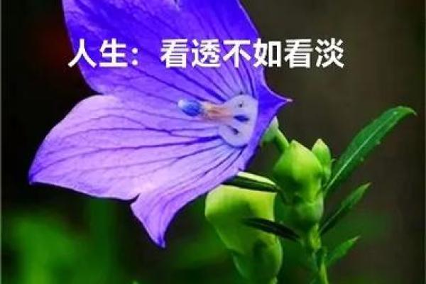 紫薇四化排盘解读：如何通过命盘看透人生轨迹