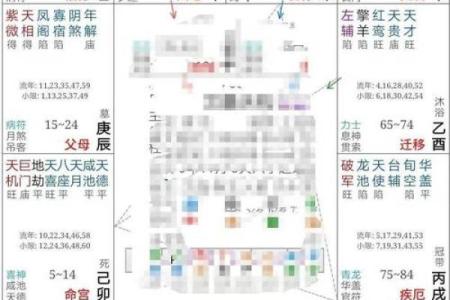 紫薇宫排盘技巧：如何精准解读你的命盘