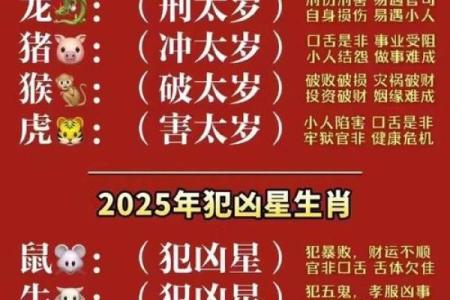 生肖相冲对个人命运的改变分析