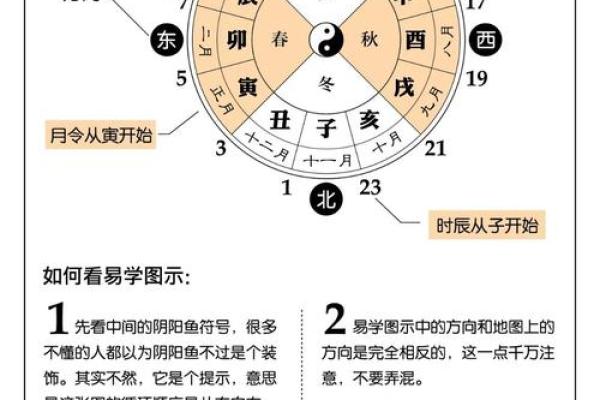 天干甲乙对命理预测的影响分析