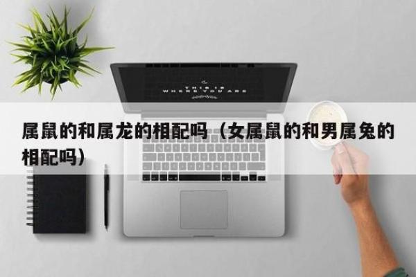 属兔女和属龙男能长久相处吗？揭示两者关系中的优势与挑战