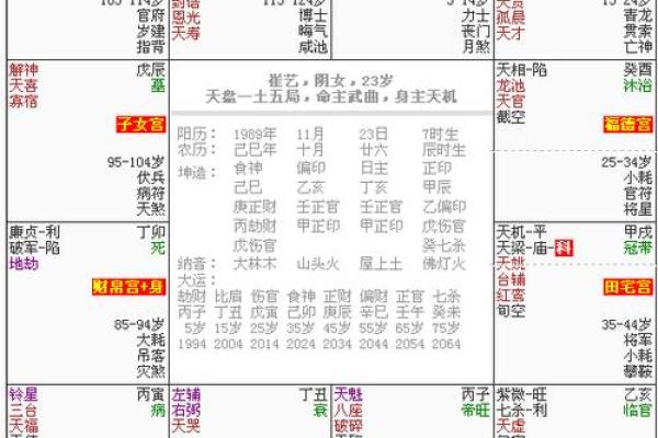 紫微斗数排盘软件下载与安装全步骤