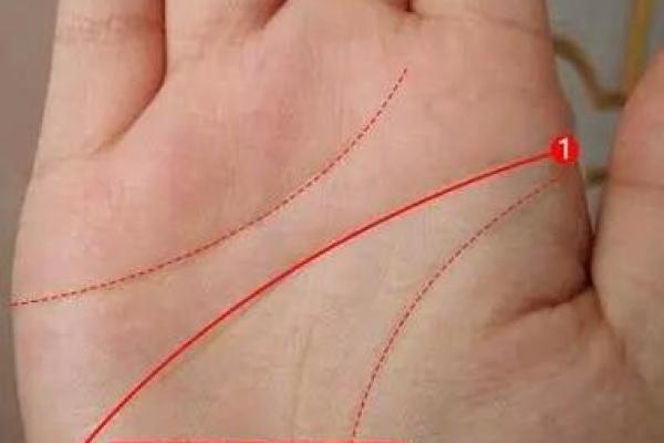透过掌纹看心灵：命运交织的奇幻手相故事