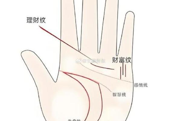手掌纹路揭示富贵命运的秘密
