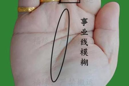有富的手相特征分析：财富运势的秘密揭示