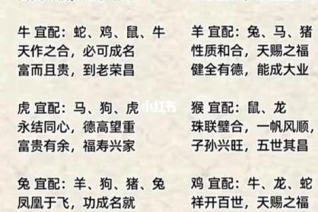 生肖相冲对家庭生活的可能影响