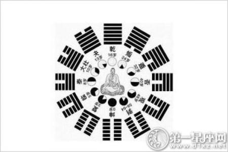 紫微斗数中的食神星与职业发展