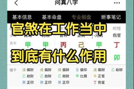 盲派排盘技巧：快速掌握命盘解读