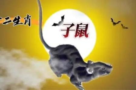 属什么生肖的详细解答与分析