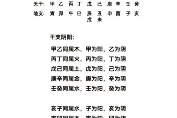 天干与五行的关系及其影响力解析