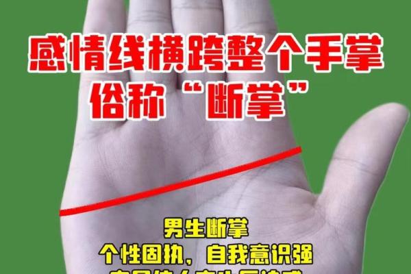 从手掌看富贵命，掌纹与命运的联系