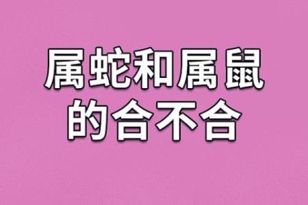 蛇与哪些生肖最相配，揭秘最佳搭配组合